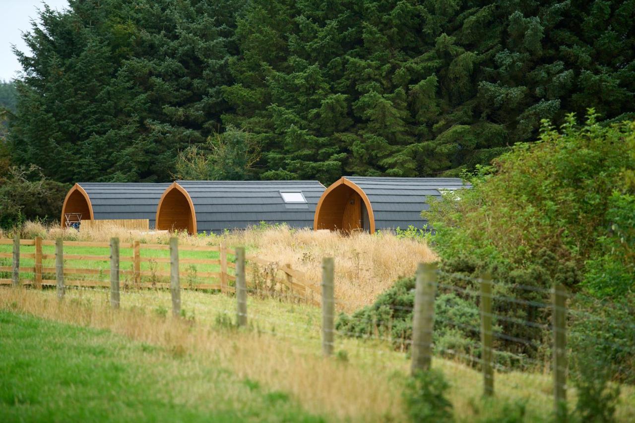 Braeview Escapes Vila Eyemouth Exterior foto